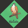 halcon